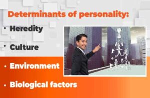 determinants of personality-personality development