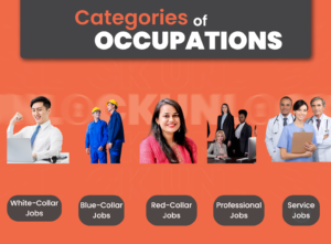 Categories of occupation