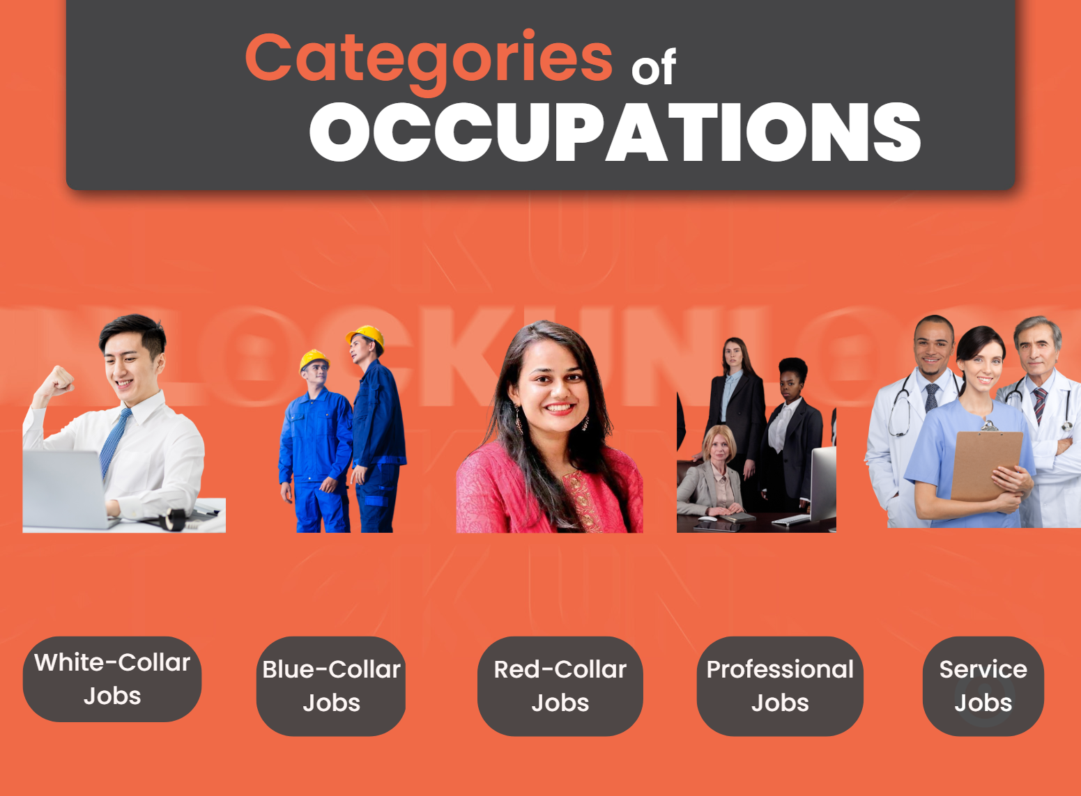 Occupation: Definition, Meaning, Types, and Categories