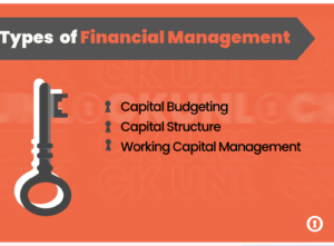 types of financial management